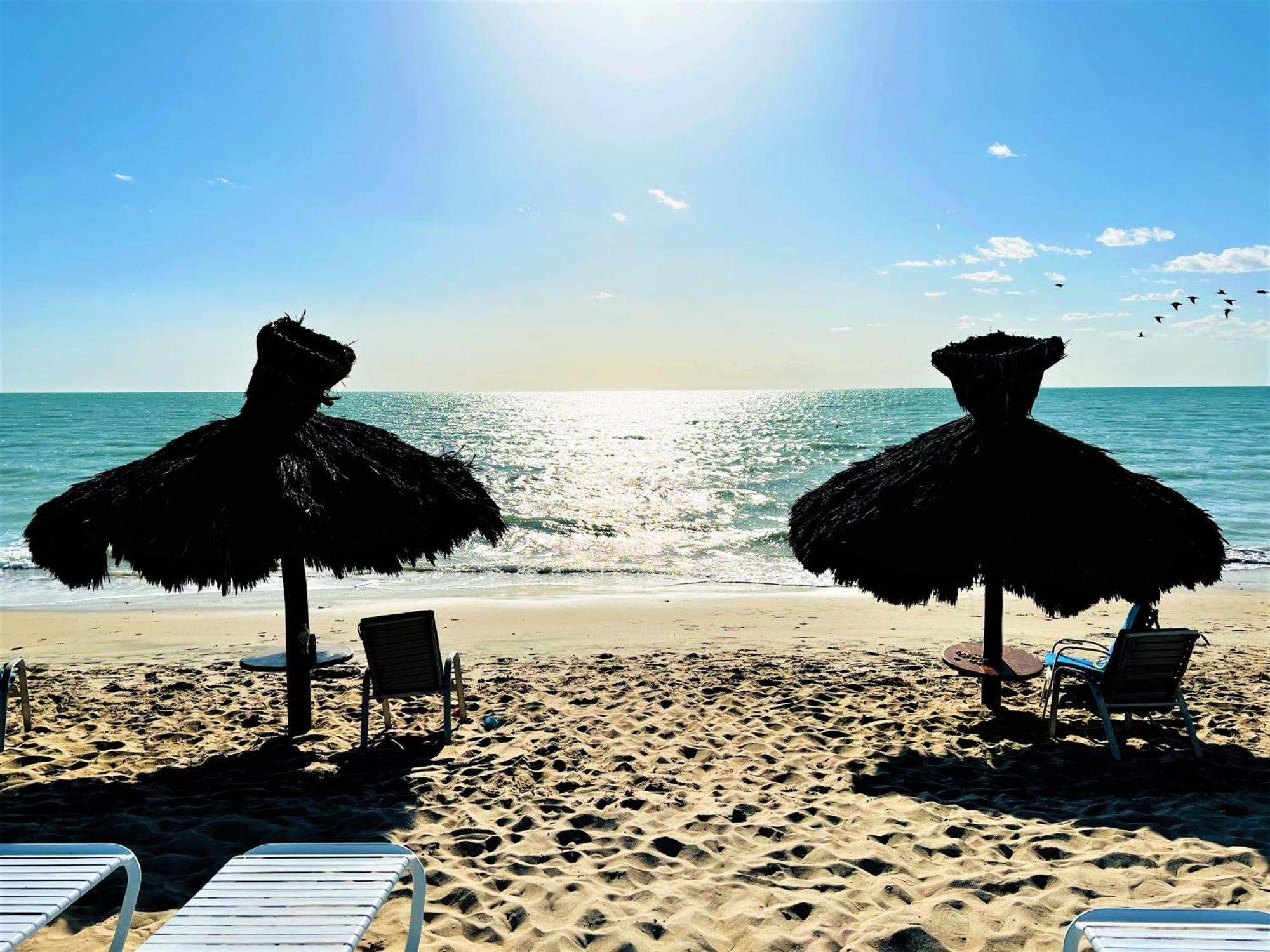 Rocky Point - Ocean Front - King - Suites - Sleeps12 - Gated - Pools Wi-Fi Bahia La Choya Zewnętrze zdjęcie
